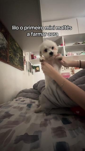 @Luisa Abib