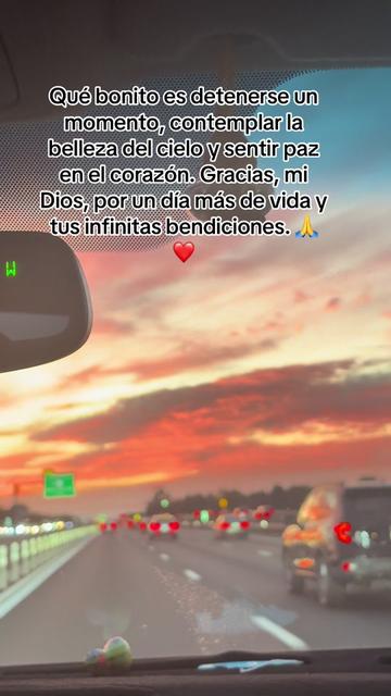 @Magdalena Tobar