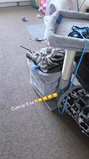 @🦀🧿CLARA🦀🧿QUEEN 🦀🧿