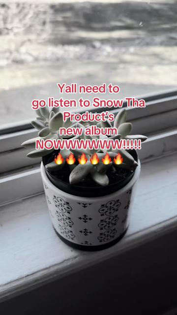 @Wendy