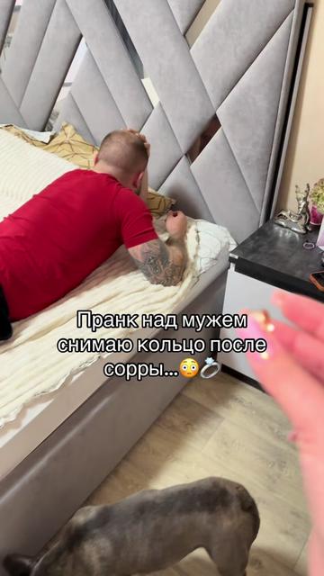 @ok_shevchikii