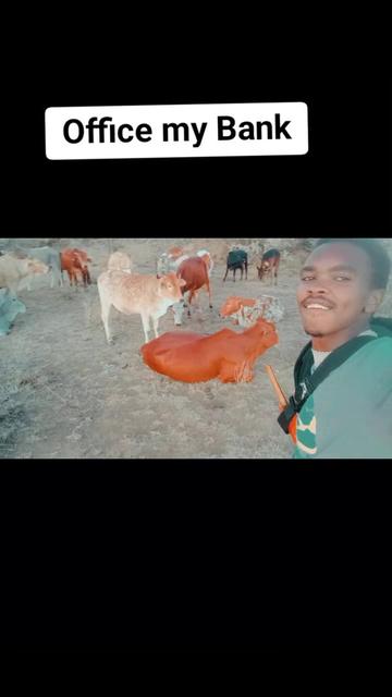 @Enkerai Ornyangusi