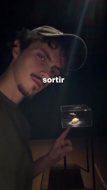 @raphael.ft