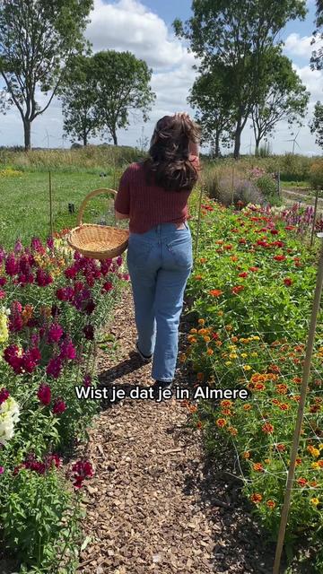 @Visit Almere