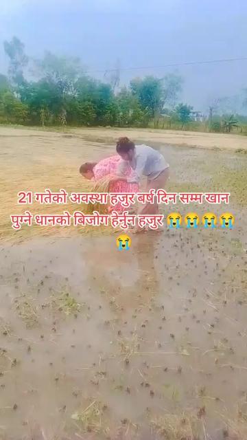 @himanshidhami
