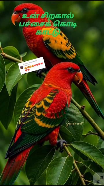 @பேப்பர் ஐடி 248 🌹1