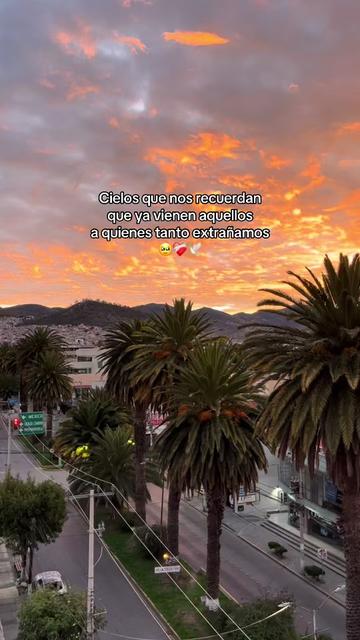 @checo_olalde