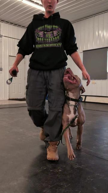 @Kavik.K9