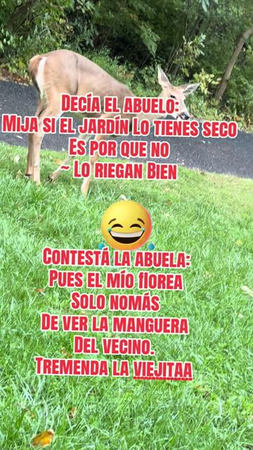 @🦋DannaRguez🦬🐢🧸🍄🕹️🪷