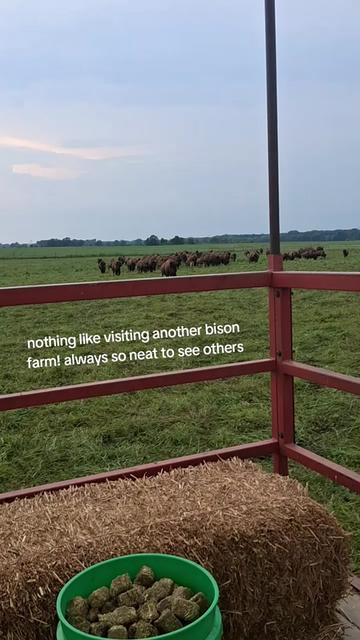 @Taylor | Sah{farm}m