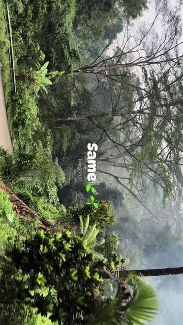 @paracetamol30822