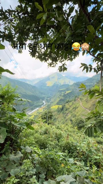 @RajEsh 🦅