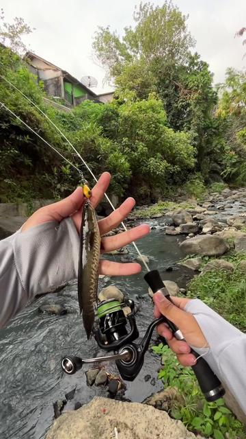 @Andalan Mancing
