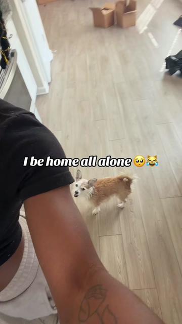 @lizzoladyy