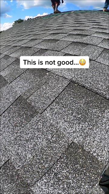 @Roofertiktok