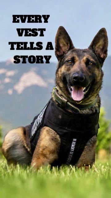 @Vested Interest in K9s, Inc.