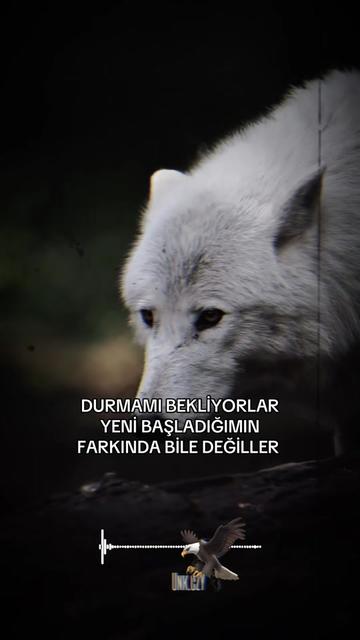 @çılgın 🚴♂️🇹🇷🫡