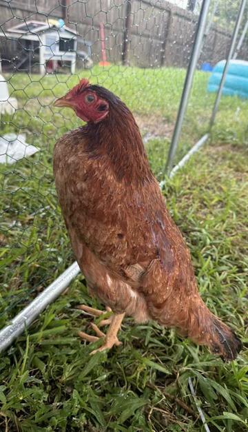 @You