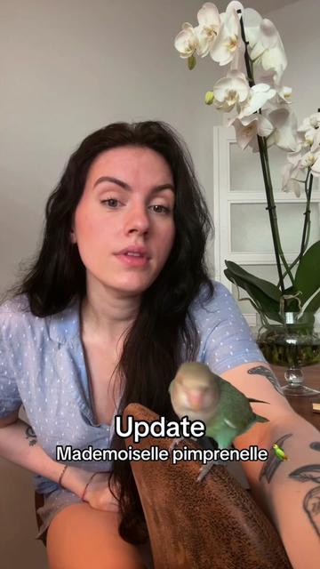 @Sarah AL
