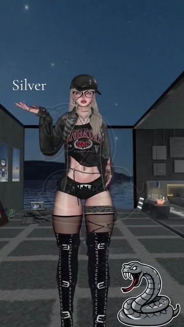 @Viper.VR
