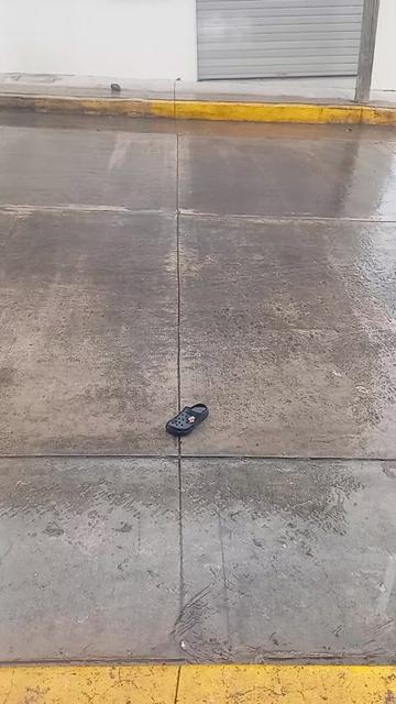 @Paloma Avila