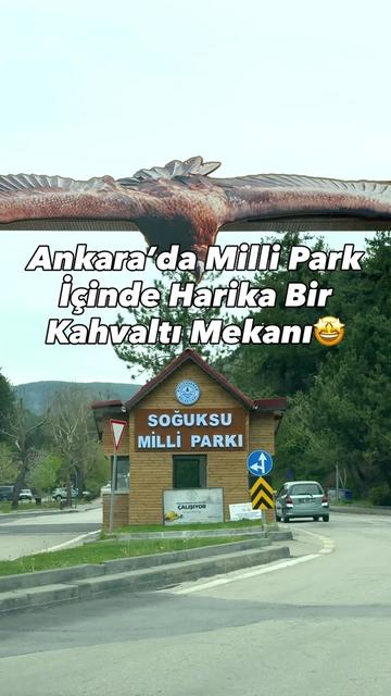 @cocuklageziler