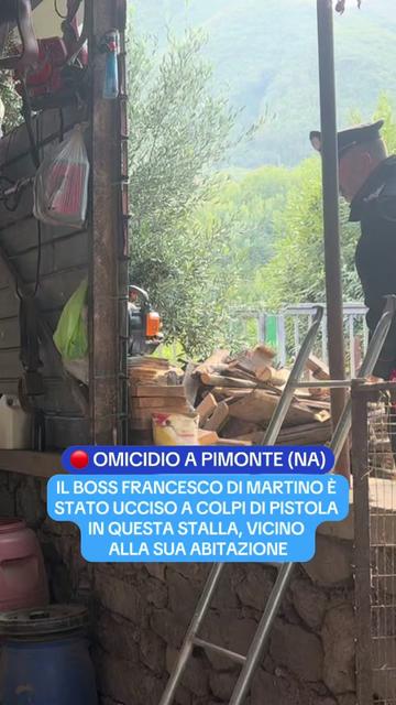@Prima Tivv&ugrave; - Canale 17