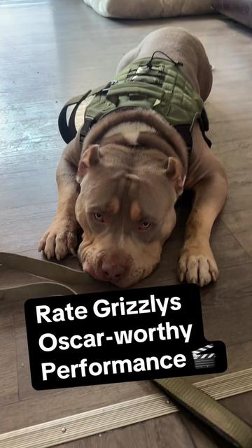 @Grizzly