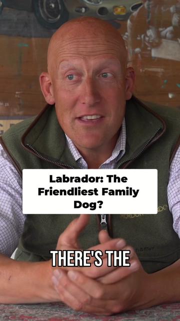@Mordor Gundogs