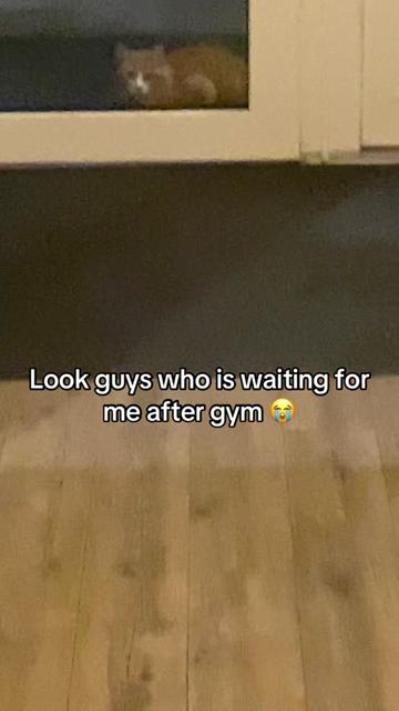 @Rein