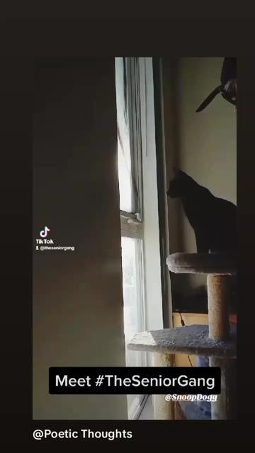 @JusticeIsEverywhere