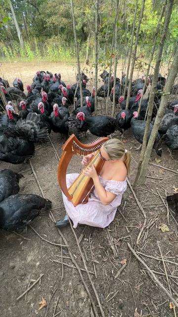 @farmerandtheharpiist