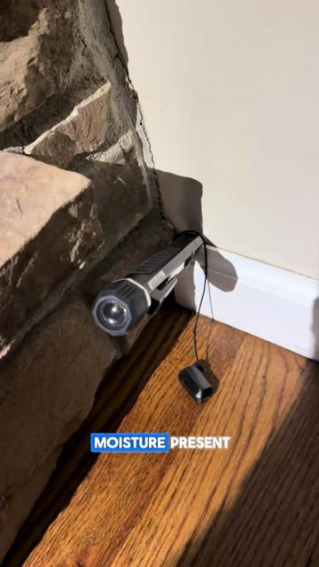 @Long Island Mold Guy