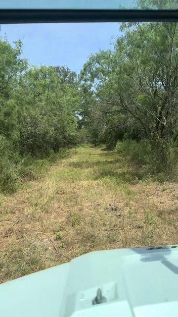 @TX Land & Wildlife