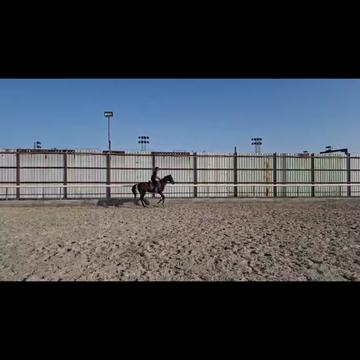 @Al Bosta Equestrian