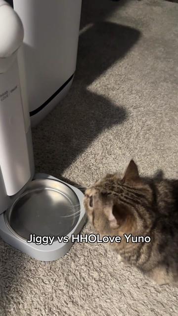 @๐๐ฎ๐ต๐ธ๐ญ๐ & ๐๐ฒ๐ฐ๐ฐ๐