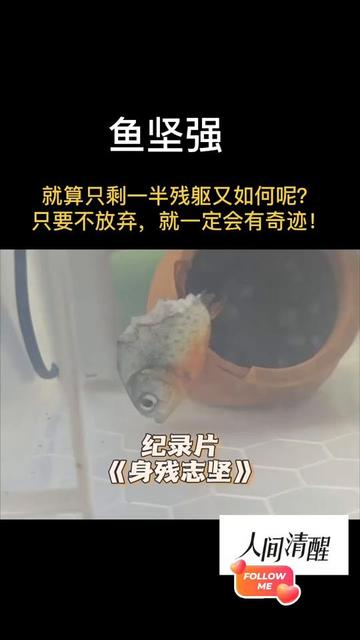 @人间清醒