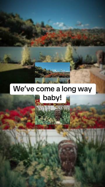 @firmlyplanteddesigns