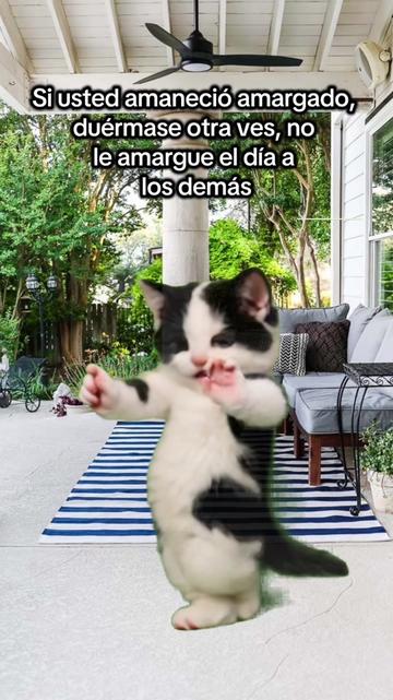 @gesica acosta