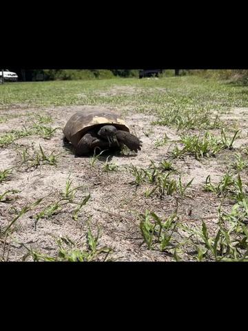 @Andres