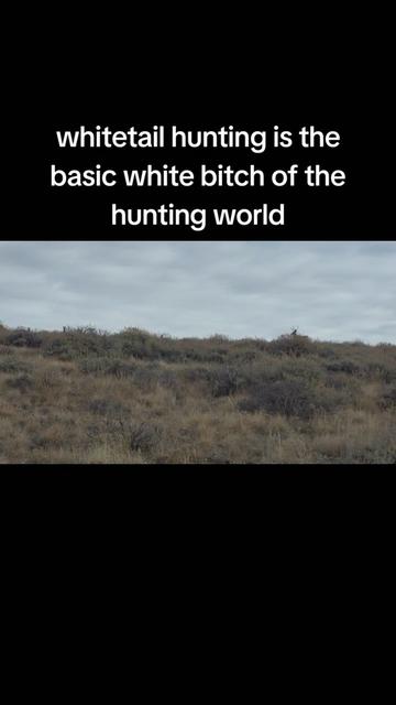 @theofficialchunt