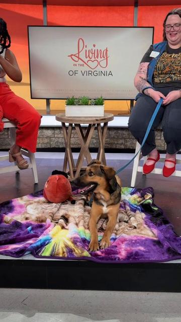 @Lynchburg Humane Society
