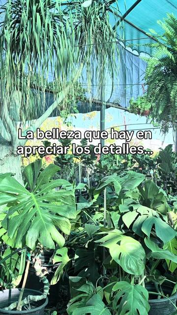 @ParlêtrePsic