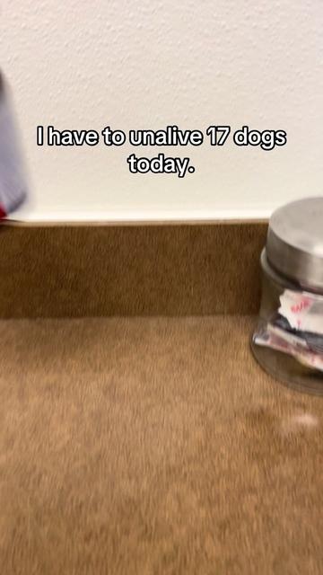 @Kayleigh | Animal Welfare