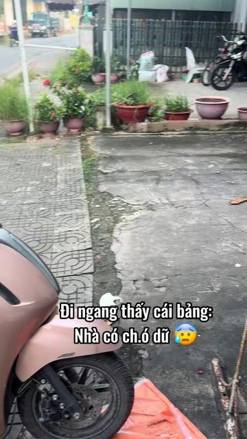 @L&uacute;n L&egrave;👽