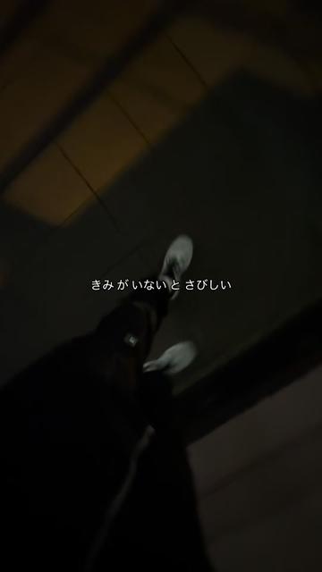 @ダラー