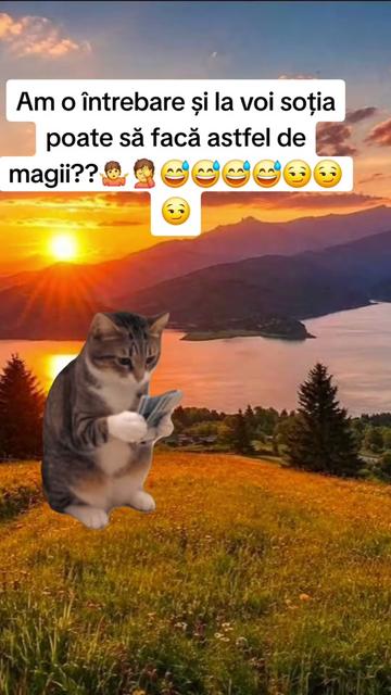 @Irimia Vasilică
