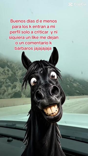 @🤪💯LOQUITA 💯🤪