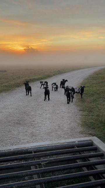 @Bar 7 Ranch