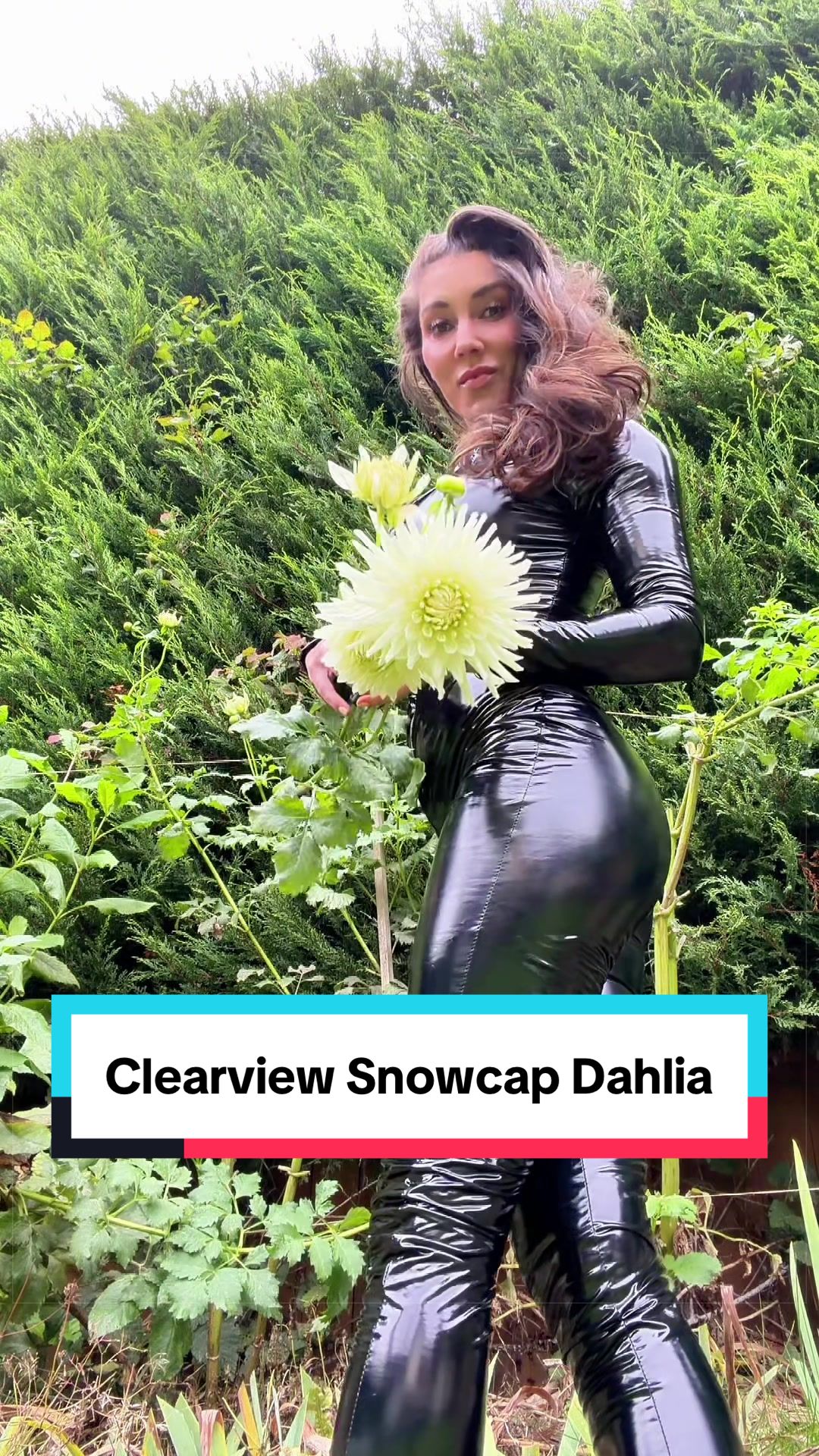 @Ava Dahlia 🇨🇦👩&zwj;🌾✌️